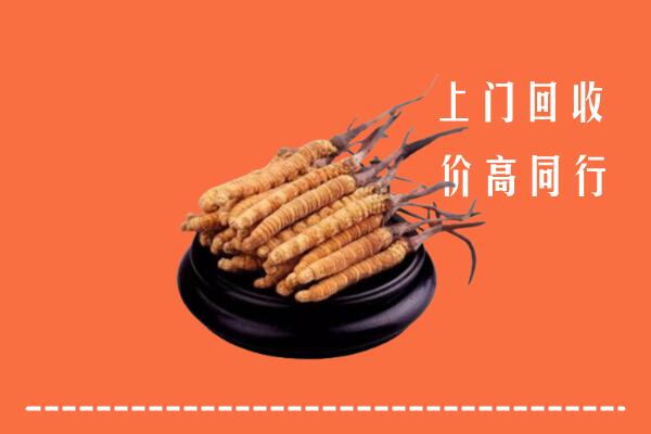 高价求购：东方回收散虫草