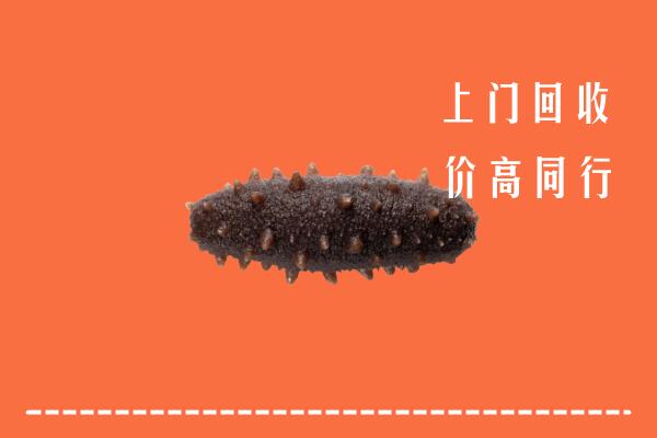高价求购：东方回收海参