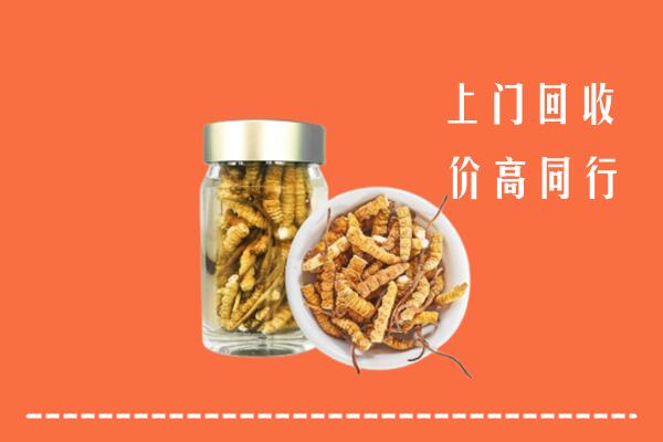 东方回收冬虫夏草