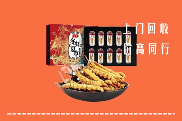 东方回收虫草